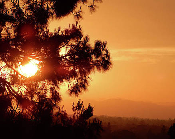 Golden Sunset @Andrew Lawrence