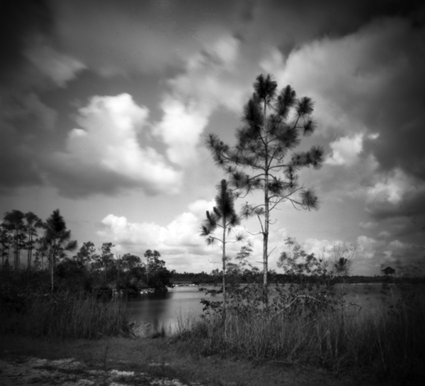 3-Everglades pinhole @Rudy Umans