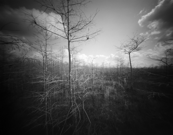 4-Everglades pinhole @Rudy Umans