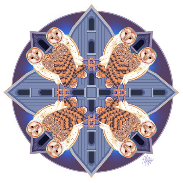 Barn Owl Midnight Mandala @Tim Phelps