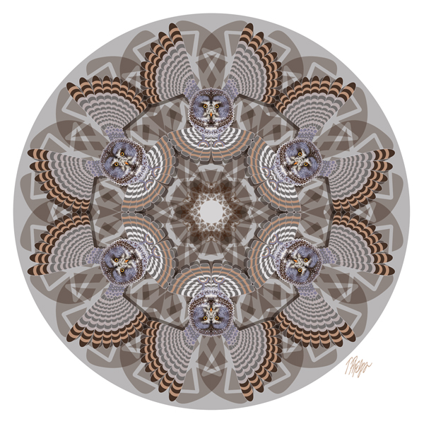Flying Great Grey Owl Mandala ©Tim Phelps