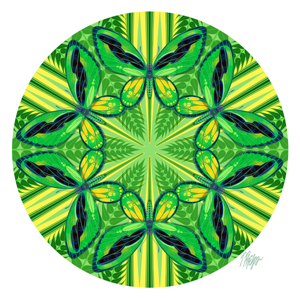 Green and Yellow Birdwing Mandala ©Tim Phelps