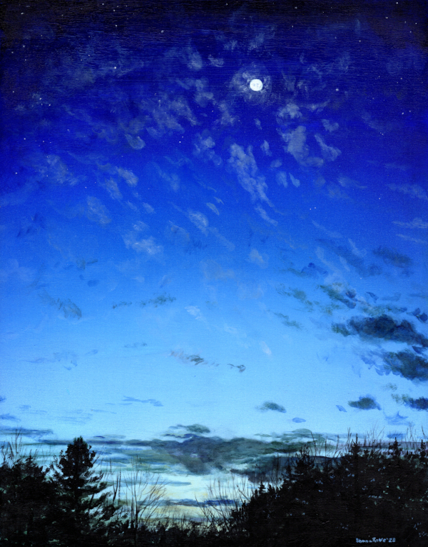 As Evening Falls Acrylic ©Shana Rowe Jackson