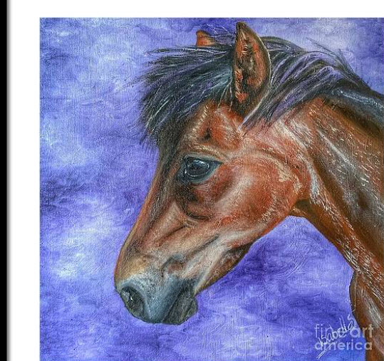 Let’s Talk Cropping