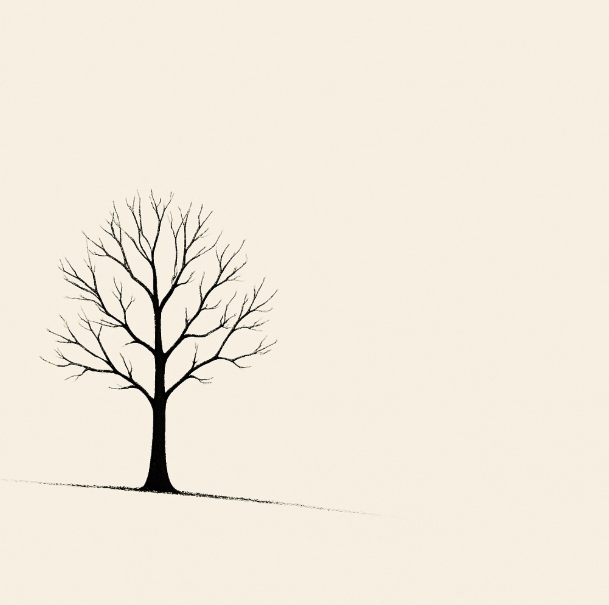 The Power of Negative Space