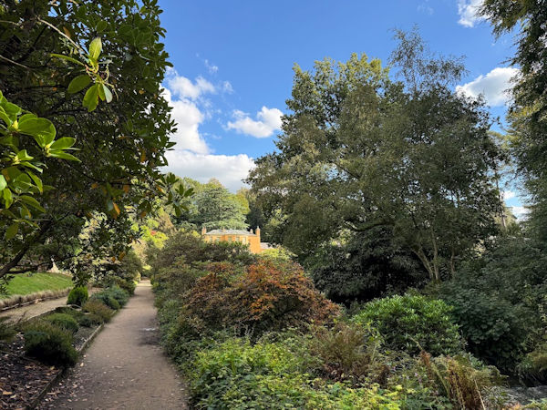 Field Notes from a Country Walk